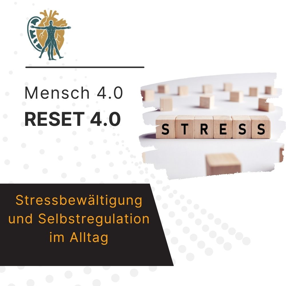RESET 4.0 – Stressbewältigung und Selbstregulation im Alltag